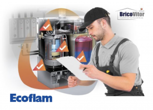 Ecoflam Boiler Technical Assistance