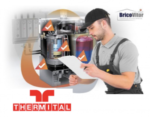 Thermital Boiler Technical Assistance